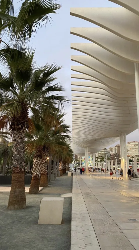 Palmeral de las Sorpresas en el Muelle 2 del Puerto de Málaga
